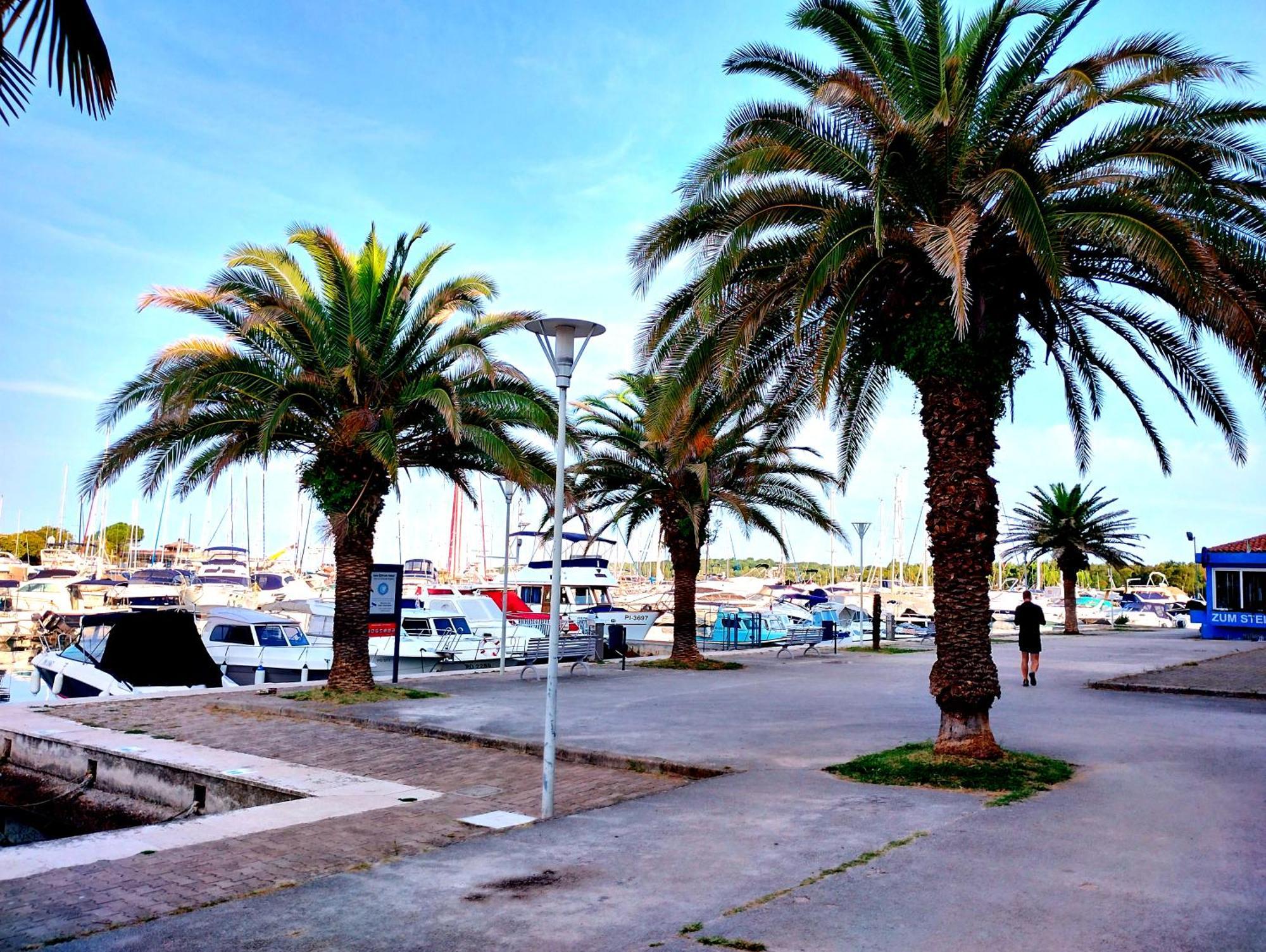 Premium Apartment Eden Poreč Eksteriør bilde