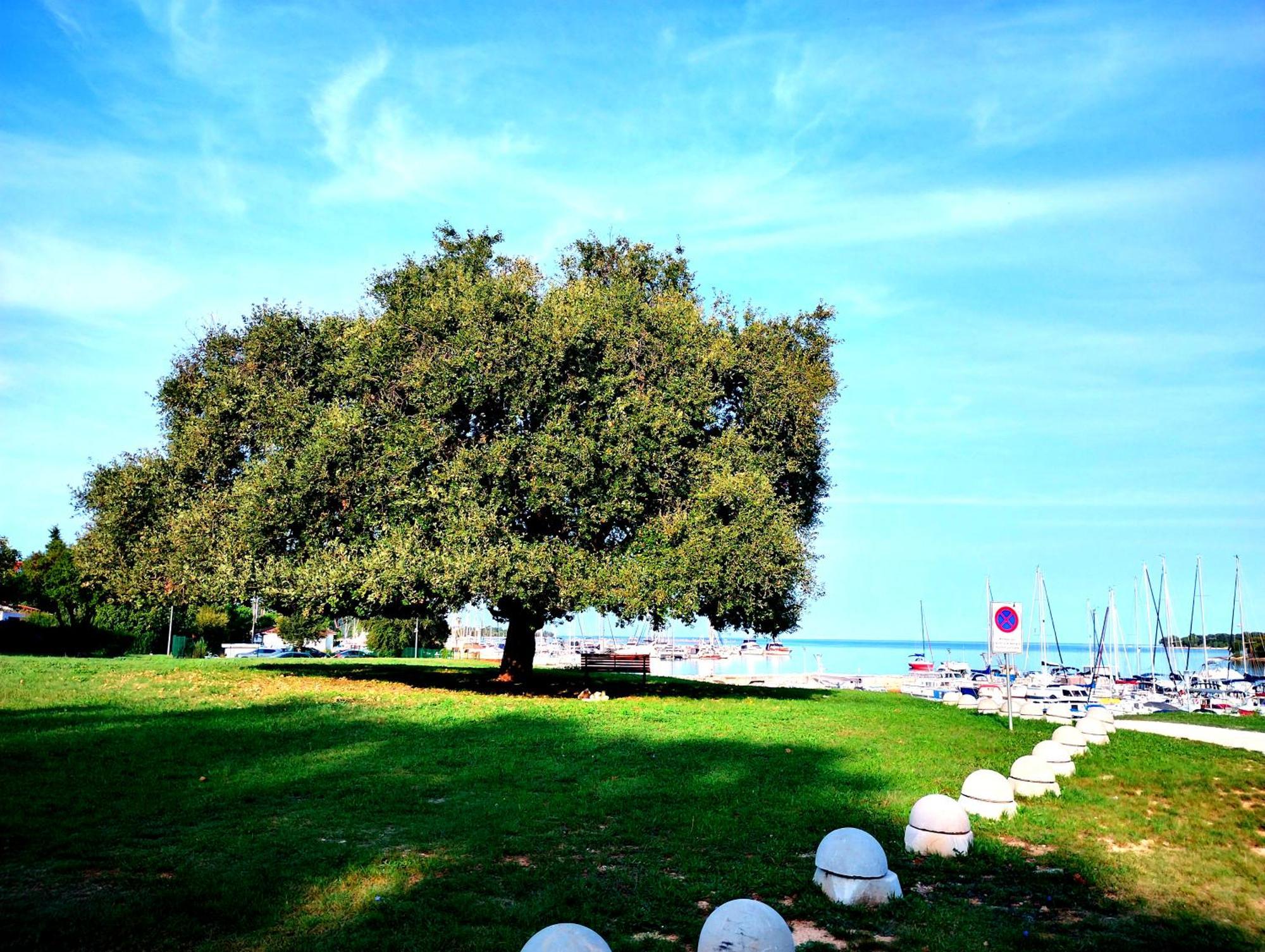 Premium Apartment Eden Poreč Eksteriør bilde